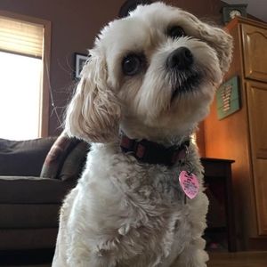 Meet your Posher, Rhonda